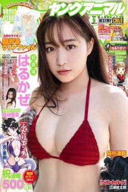 泷川雅美视频